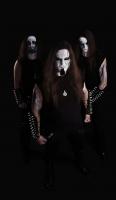 ELDERBLOOD