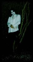 NOCTURNAL MAJESTY