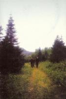 SVARTSYN (Nor)