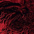 ILL OMENED : Conflagration Roaring Hell