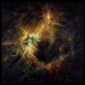 NIHIL NOCTURNE: Entheogen
