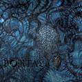 PORTAL: Vexovoid