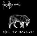 FORGOTTEN WOODS: Sjel av natten
