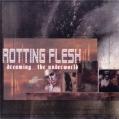 ROTTING FLESH: Dreaming...the Underworld