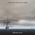 BEYOND BLACK VOID: Desolate