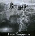 BRUMALIS: Furore Normannorum