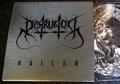 DESTRUKTOR: Nailed w/ Metal Cover Pic. LP