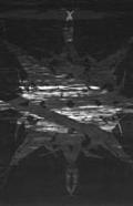 ESCHATON: Causa Fortior