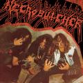 NECROBUTCHER: Schizophrenic Noisy Torment
