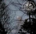 IDIS ORLOG: The Spiral Tide Of Seasons