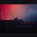 BLAZE OF SORROW: Echi