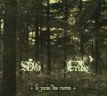 SORCIER DES GLACES / ENDE: Le puits des morts