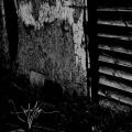 ISOLATION: Isolation
