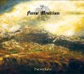 FOREST MYSTICISM: Hearken