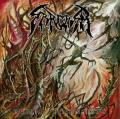 SARCASM (SWE): Burial Dimensions